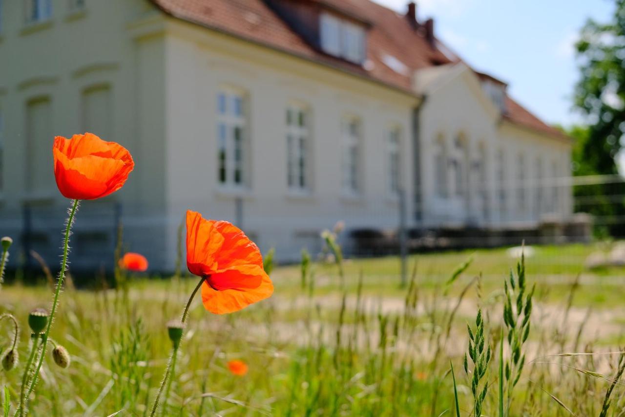 Gutshaus Fewo Luebeck Dassow Exteriér fotografie